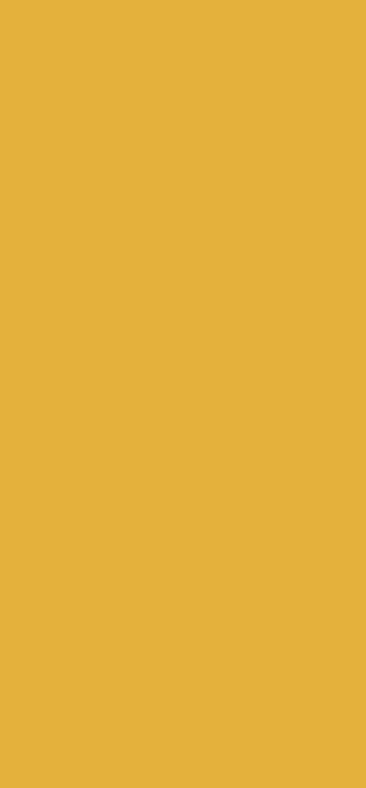 original-20.jpg Μελαμίνη Egger U163 ST9 Curry Yellow - Image 1